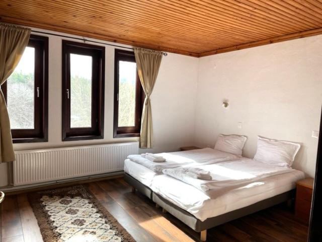 Бор И Шишарка Varzilkovtsi Exterior foto